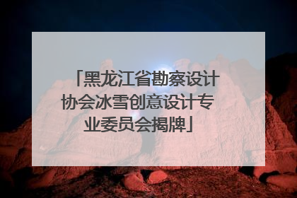 黑龙江省勘察设计协会冰雪创意设计专业委员会揭牌