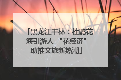 黑龙江丰林：杜鹃花海引游人 “花经济”助推文旅新热潮