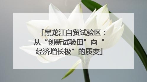 黑龙江自贸试验区：从“创新试验田”向“经济增长极”的质变
