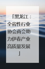 黑龙江：全省性行业协会商会助力伊春产业高质量发展