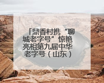 鼎香村携“聊城老字号”惊艳亮相第九届中华老字号（山东）博览会