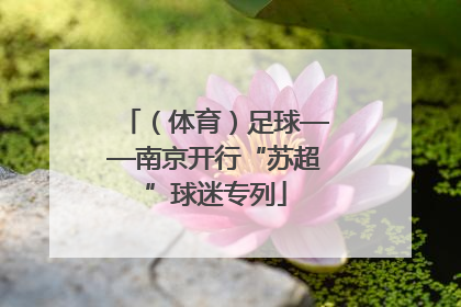 （体育）足球——南京开行“苏超”球迷专列