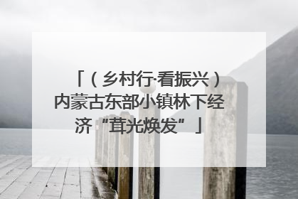 （乡村行·看振兴）内蒙古东部小镇林下经济“茸光焕发”