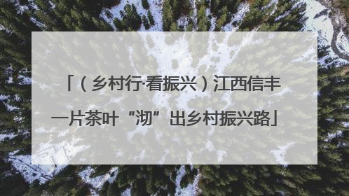（乡村行·看振兴）江西信丰一片茶叶“沏”出乡村振兴路
