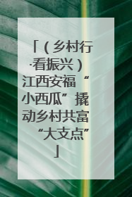 （乡村行·看振兴）江西安福“小西瓜”撬动乡村共富“大支点”