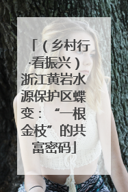 （乡村行·看振兴）浙江黄岩水源保护区蝶变：“一根金枝”的共富密码
