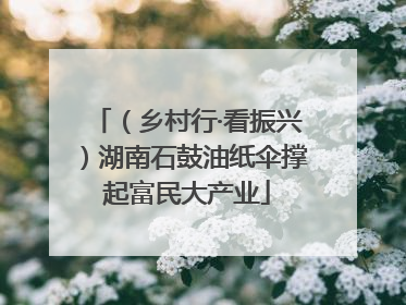 （乡村行·看振兴）湖南石鼓油纸伞撑起富民大产业