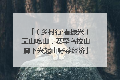 （乡村行·看振兴）靠山吃山，赛罕乌拉山脚下兴起山野菜经济