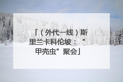 （外代一线）斯里兰卡科伦坡：“甲壳虫”聚会