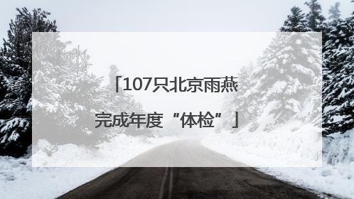107只北京雨燕完成年度“体检”