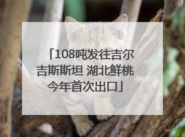 108吨发往吉尔吉斯斯坦 湖北鲜桃今年首次出口