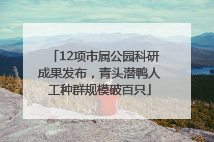 12项市属公园科研成果发布，青头潜鸭人工种群规模破百只