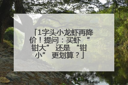1字头小龙虾再降价！提问：买虾 “钳大” 还是 “钳小” 更划算？