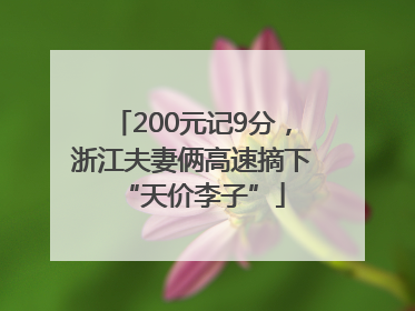 200元记9分，浙江夫妻俩高速摘下“天价李子”