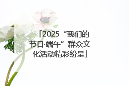 2025“我们的节日·端午”群众文化活动精彩纷呈