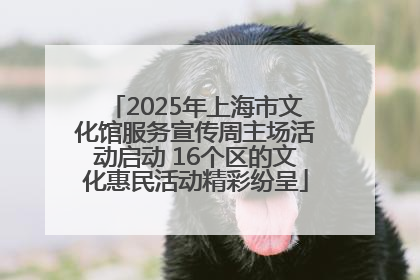2025年上海市文化馆服务宣传周主场活动启动 16个区的文化惠民活动精彩纷呈