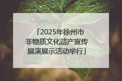 2025年徐州市非物质文化遗产宣传展演展示活动举行
