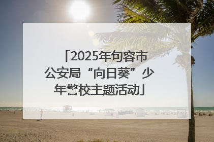 2025年句容市公安局“向日葵”少年警校主题活动