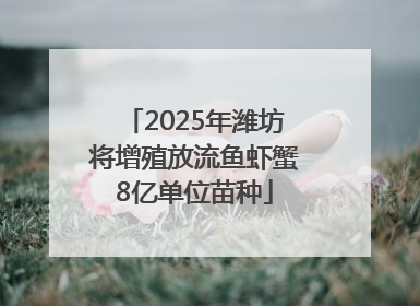 2025年潍坊将增殖放流鱼虾蟹8亿单位苗种