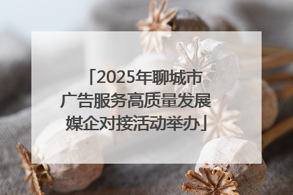 2025年聊城市广告服务高质量发展媒企对接活动举办
