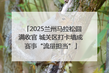2025兰州马拉松圆满收官 城关区打卡墙成赛事“流量担当”