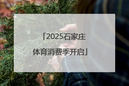 2025石家庄体育消费季开启