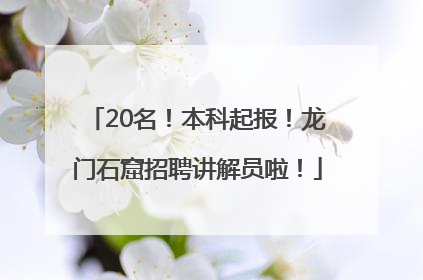 20名！本科起报！龙门石窟招聘讲解员啦！
