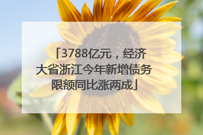 3788亿元，经济大省浙江今年新增债务限额同比涨两成