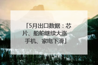 5月出口数据：芯片、船舶继续大涨 手机、家电下滑