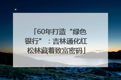 60年打造“绿色银行”：吉林通化红松林藏着致富密码