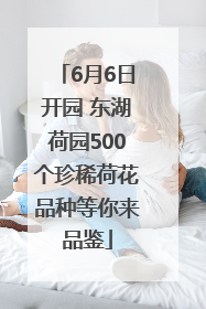 6月6日开园 东湖荷园500个珍稀荷花品种等你来品鉴