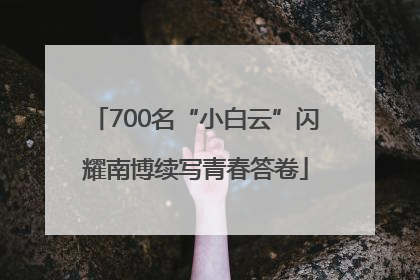 700名“小白云”闪耀南博续写青春答卷