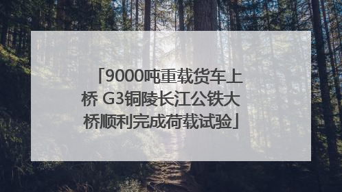 9000吨重载货车上桥 G3铜陵长江公铁大桥顺利完成荷载试验