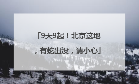 9天9起！北京这地，有蛇出没，请小心