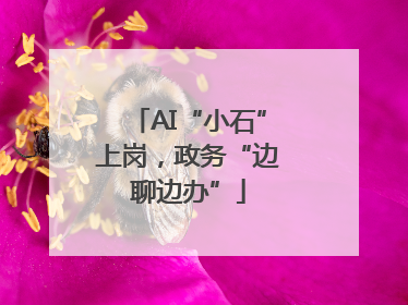 AI“小石”上岗，政务“边聊边办”