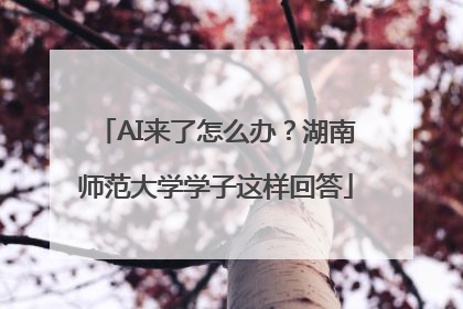 AI来了怎么办？湖南师范大学学子这样回答
