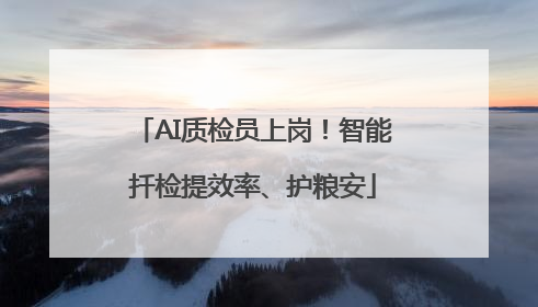 AI质检员上岗！智能扦检提效率、护粮安