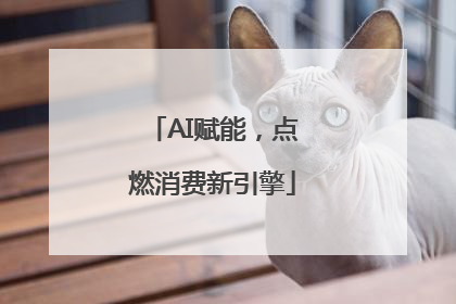 AI赋能，点燃消费新引擎