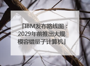 IBM发布路线图：2029年前推出大规模容错量子计算机