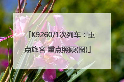 K9260/1次列车：重点旅客 重点照顾(图)