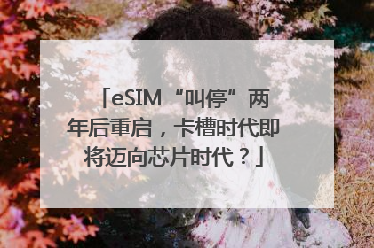 eSIM“叫停”两年后重启，卡槽时代即将迈向芯片时代？